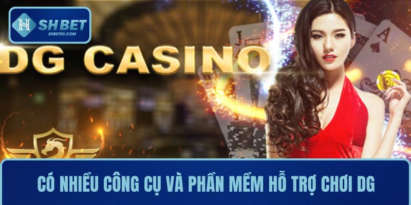 Có nhiều công cụ và phần mềm hỗ trợ phân tích khi chơi DG