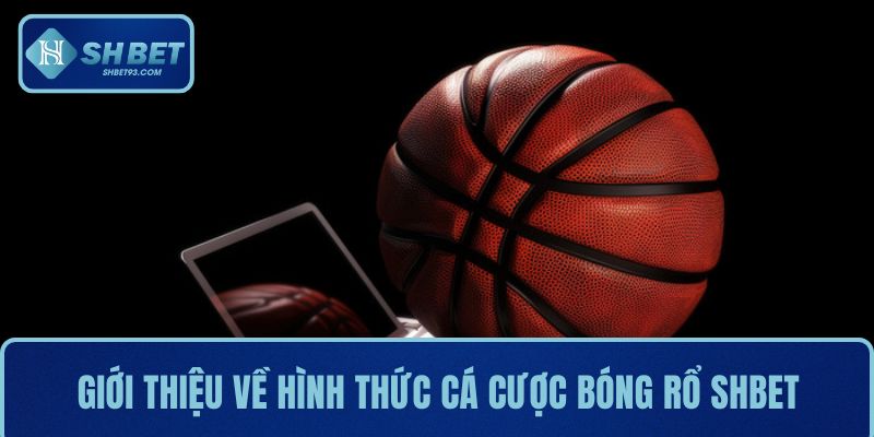 Giới thiệu về hình thức giải trí cá cược bóng rổ tại SHBET