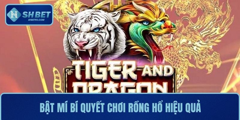 Bật mí bí quyết chơi Rồng Hổ hiệu quả từ các cao thủ lâu năm