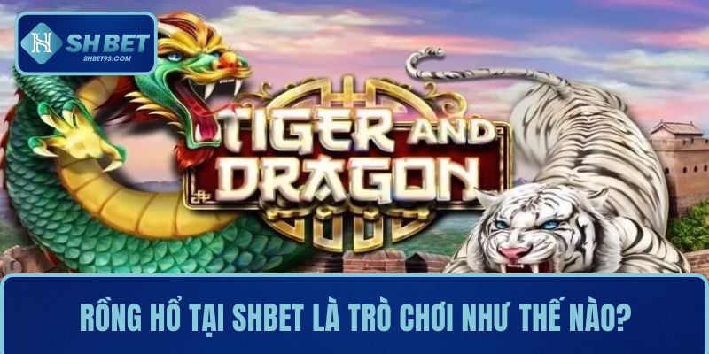 Rồng hổ tại SHBET là trò chơi như thế nào?