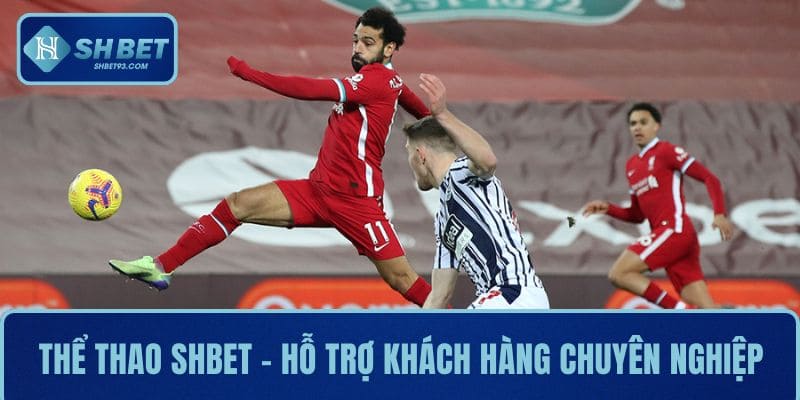 Thể thao SHBET - hỗ trợ khách hàng chuyên nghiệp